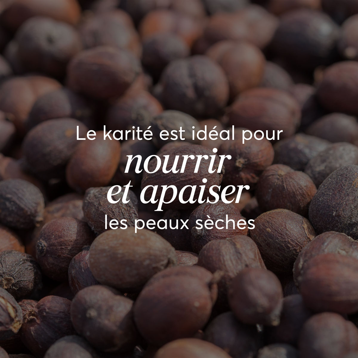 <span>Savon à Raser au Beurre de Karité</span>