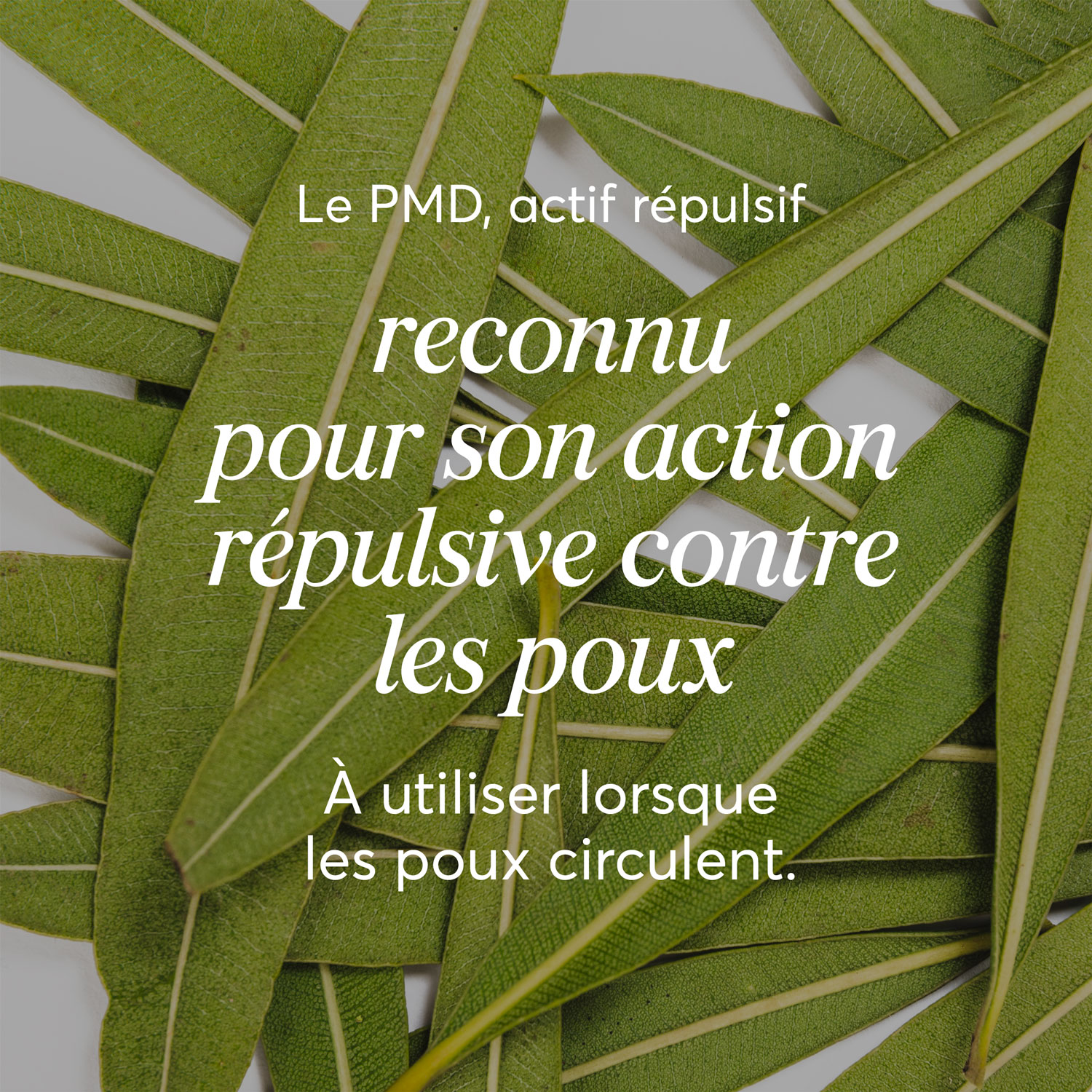 Spray répulsif<span> Poust ! Anti-poux</span>